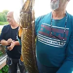Verlan Satumaa