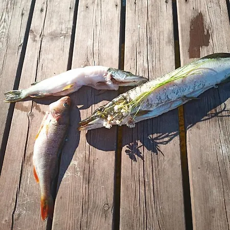 Verlan Satumaa Дом отдыха *