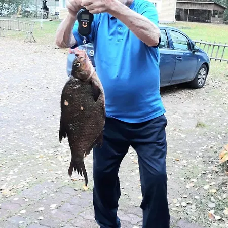 Verlan Satumaa * Verla