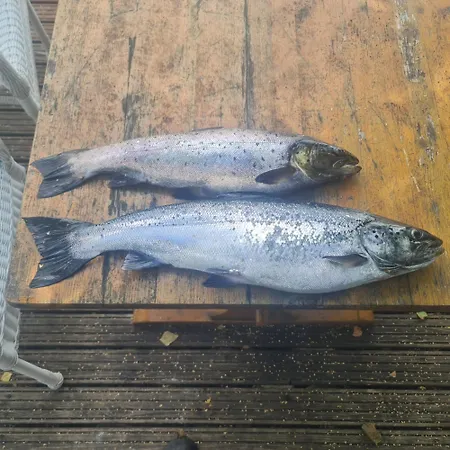 펜션 Verlan Satumaa Verla