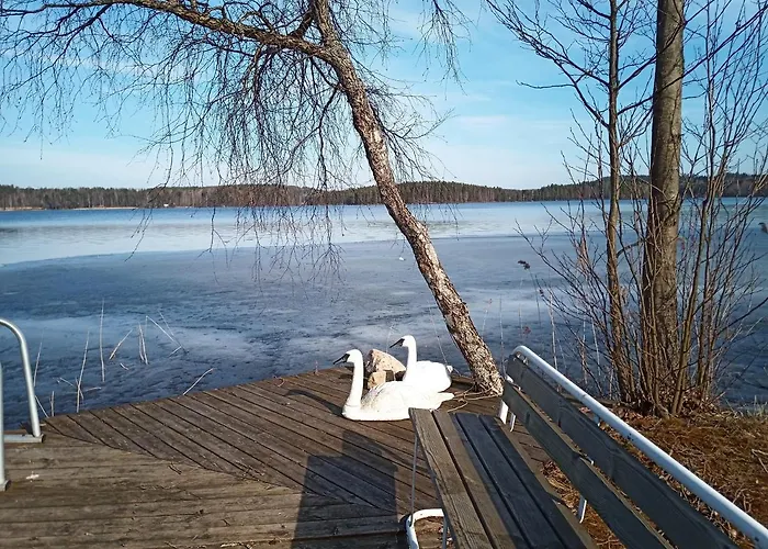 Verlan Satumaa Hébergement de vacances Verla