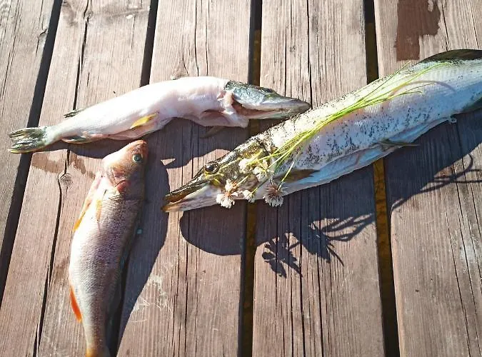 Verlan Satumaa Hébergement de vacances *