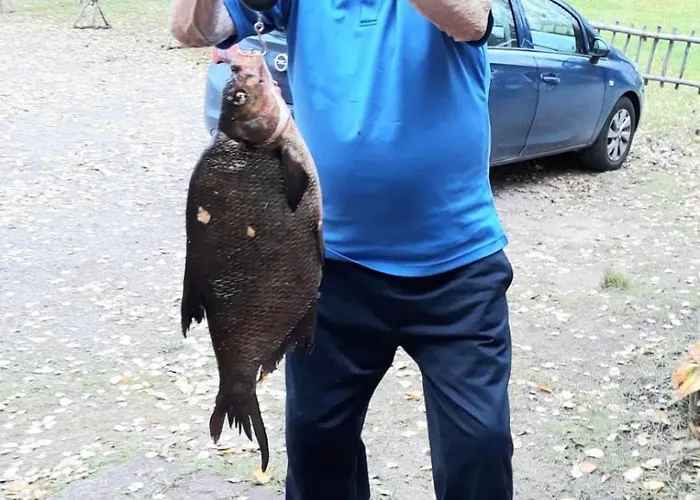 Verlan Satumaa * Verla