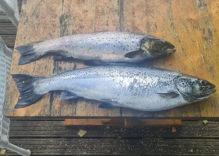 펜션 Verlan Satumaa Verla